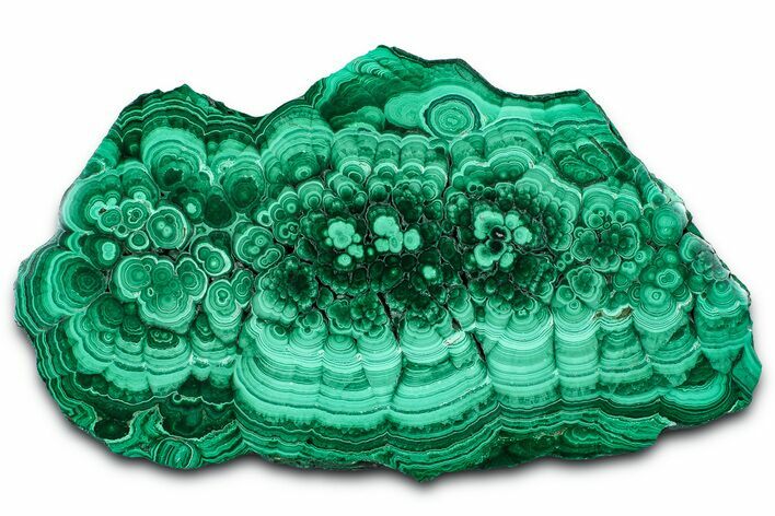 Flowery Polished Malachite Slab - DR Congo #360534